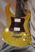Nick Page Guitars Baron